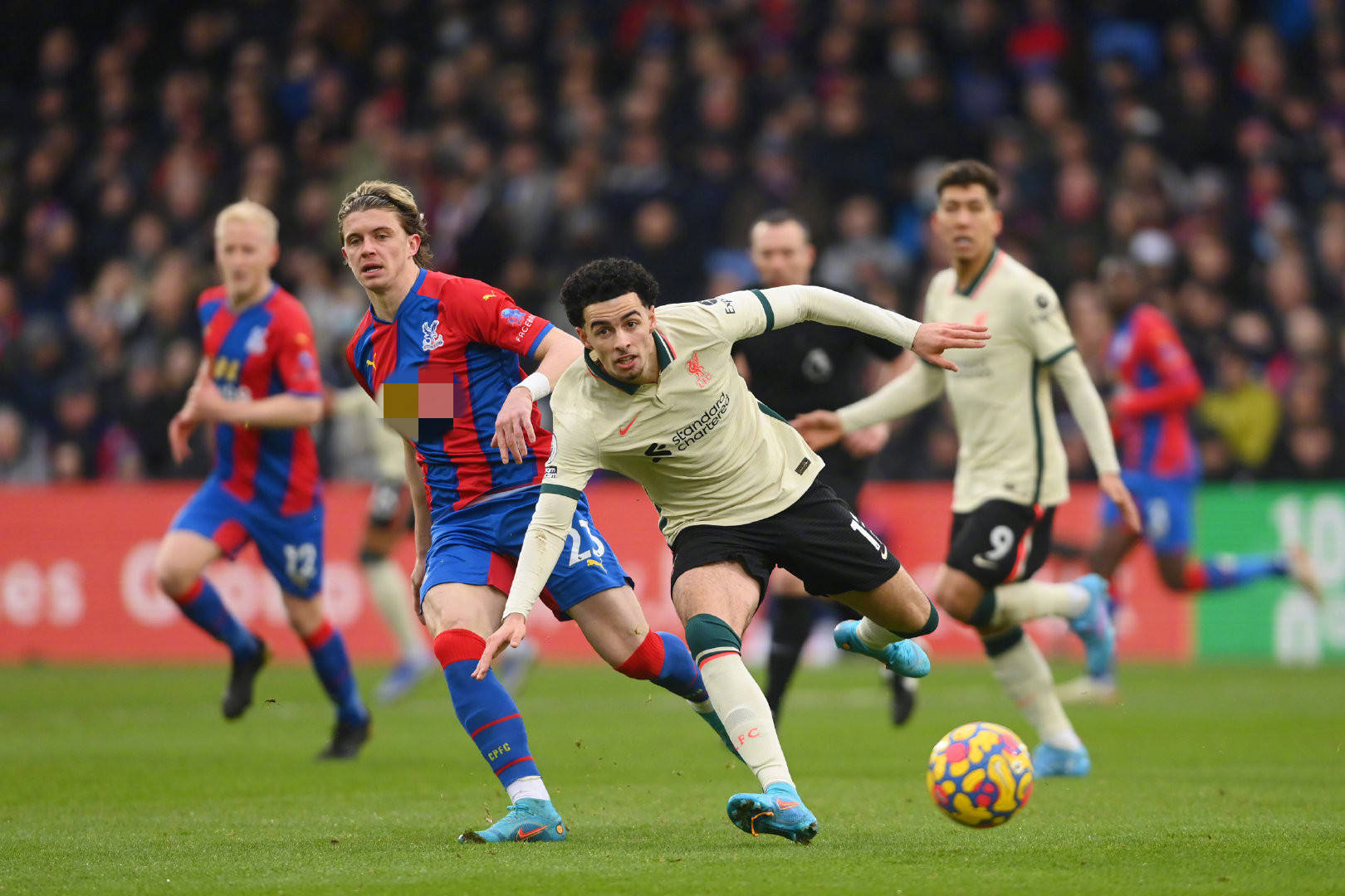 在本次活动 在本次活动