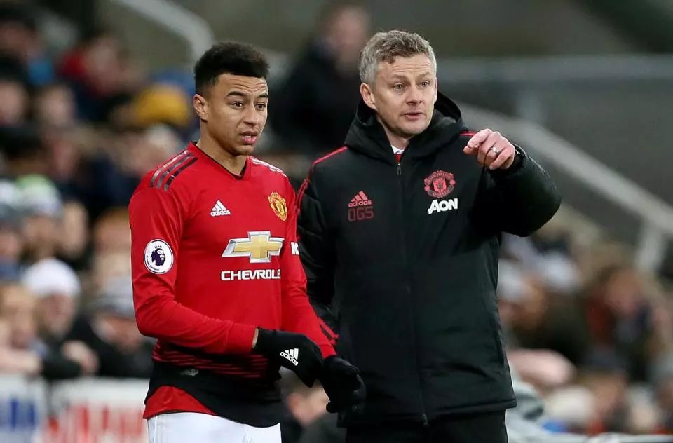 了新的活力 了新的活力